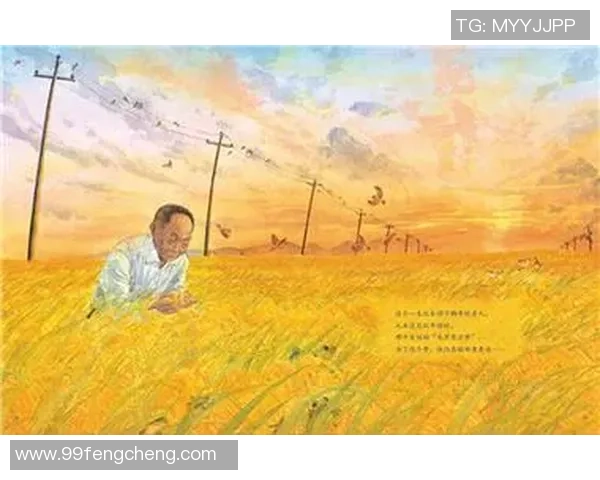 武汉排球队奋勇争先的成长历程与冠军赛背后的故事