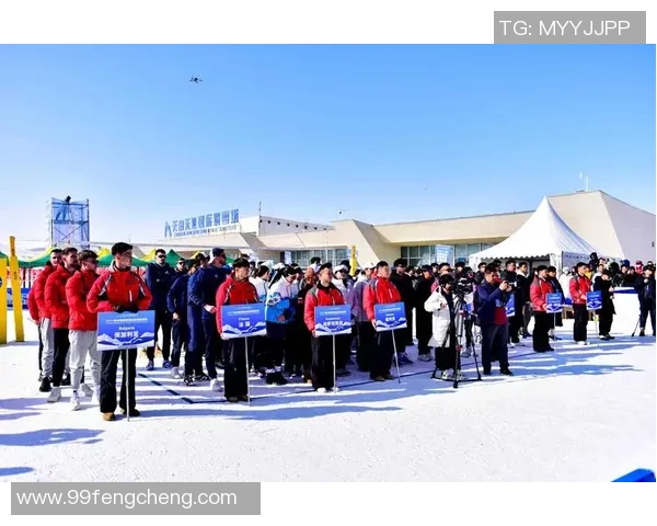 陈静独家分享排球心得与技巧提升之路，助你成为场上明星